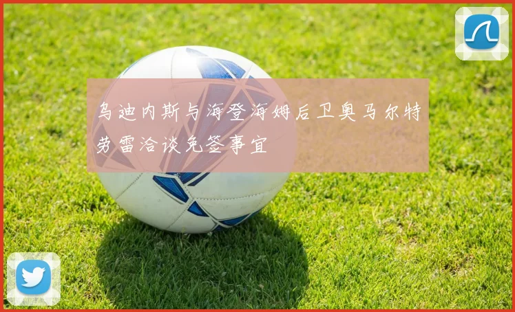 乌迪内斯与海登海姆后卫奥马尔特劳雷洽谈免签事宜